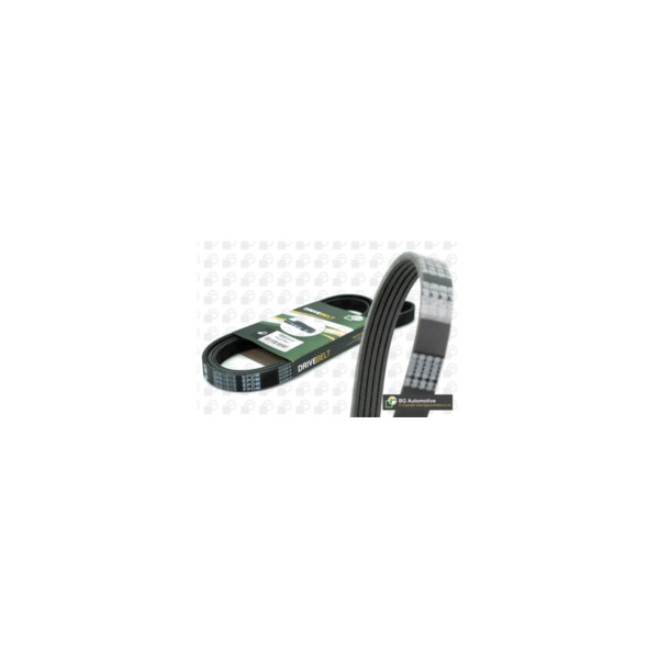 Drive Belt image