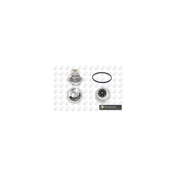Water Pump image