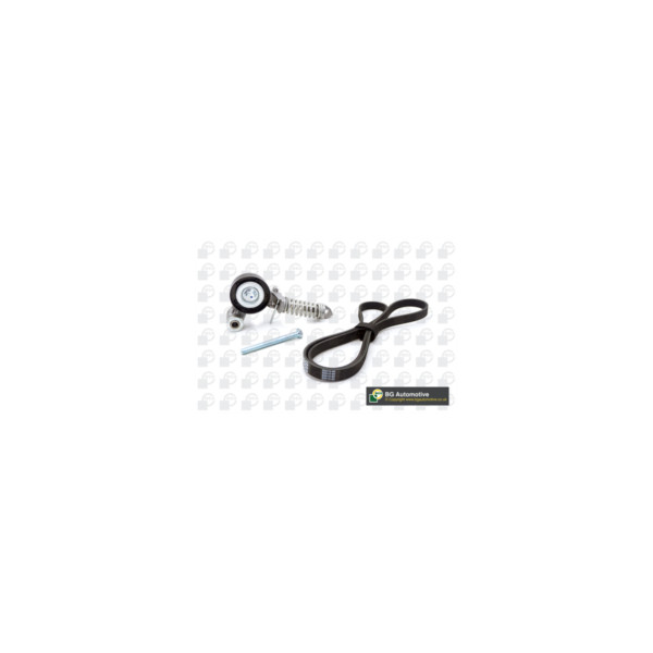 Drive Belt Kit image