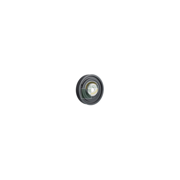 Torsion Vibration Damper image