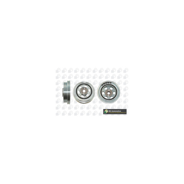 Torsion Vibration Damper image