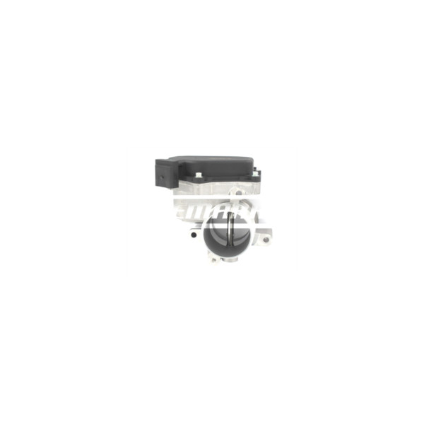 Throttle Body image