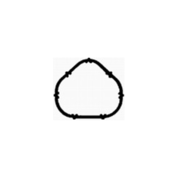 Manifold Gasket image