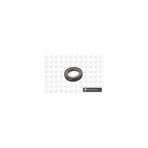 Drivetrain Seal image
