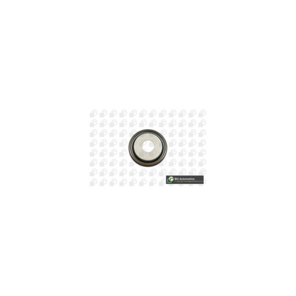 Crankshaft Seal image