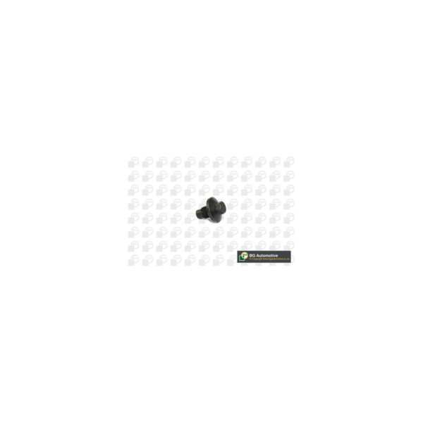 Sump Plug image