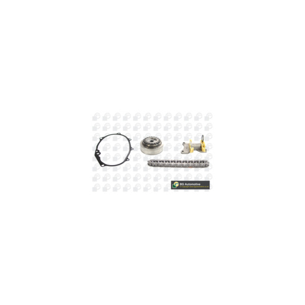 Timing Chain Kit image