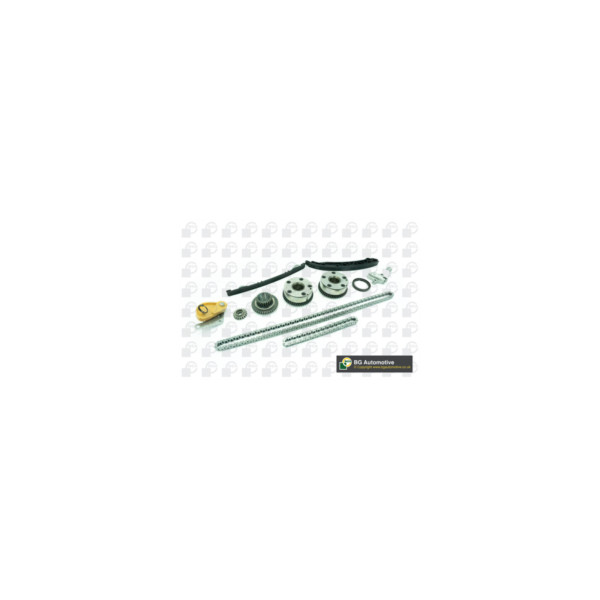Timing Chain Kit image