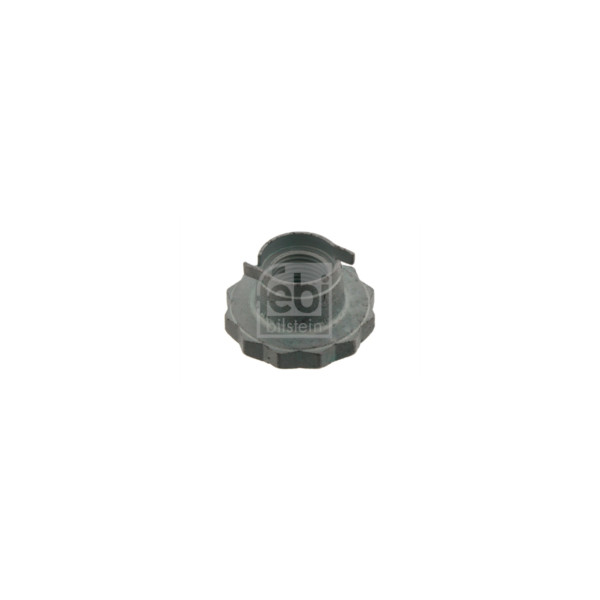 Hub Nut image