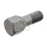 Image for Wheel Bolt/Nut