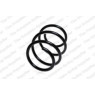 Image for Coil Spring
