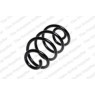 Image for Coil Spring