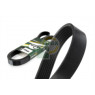 Image for Drive Belt