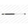 Image for Gas Spring