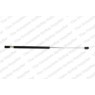 Image for Gas Spring