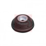 Image for Strut Mount Kit
