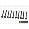 Image for Head Bolts