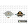 Image for Radiator Cap