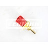 Image for Temperature Transmitter