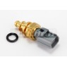 Image for Temperature Transmitter