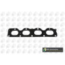 Image for Manifold Gasket