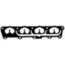 Image for Manifold Gasket
